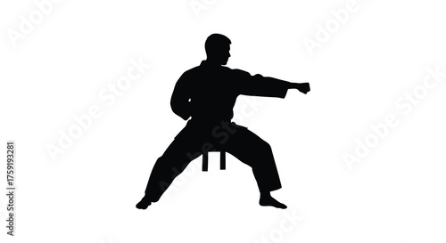 Dynamic silhouette of a martial artist performing a powerful punch in a traditional karate gi silhouette
