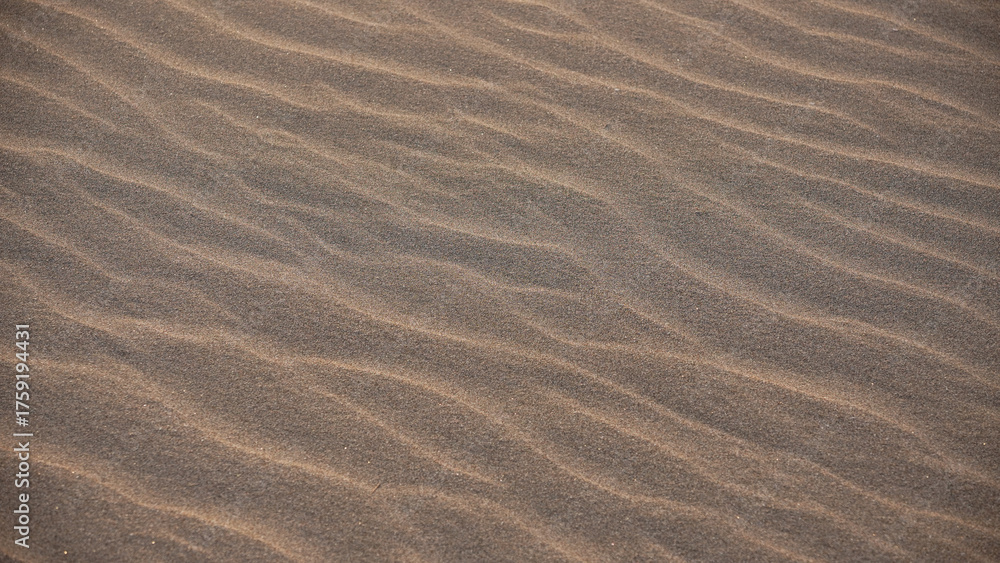 Fototapeta premium sand texture background