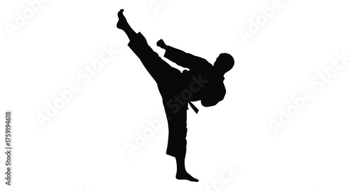Dynamic martial arts silhouette of a person performing a high side kick in a karate uniform silhouette