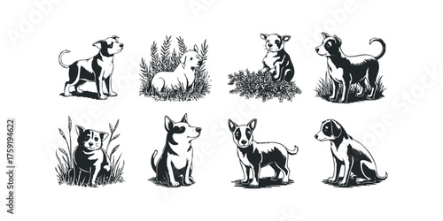 Group of diverse dog breeds in various poses and settings