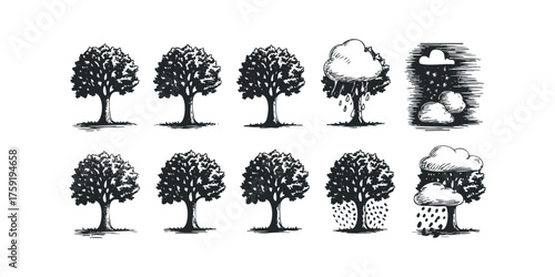 Ten illustrations of trees in different weather conditions