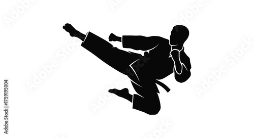 Dynamic silhouette of a martial artist performing a powerful high kick in a karate gi silhouette