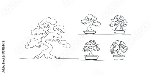 Continuous Line Drawings of Potted Bonsai Trees