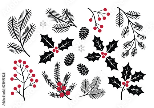 Winter Holiday Plant Illustrations – Vector holly berries, pine, rowan branches, and leaves, Christmas decorations in red and black, isolated on white background for festive, seasonal, and nature-insp