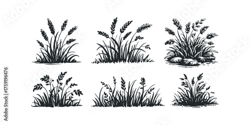 Six Black Silhouettes of Grass Bundles