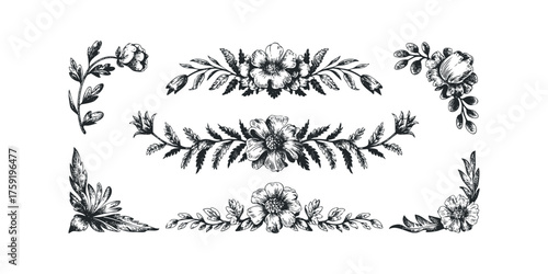 Collection of ornamental floral and leaf borders and corners