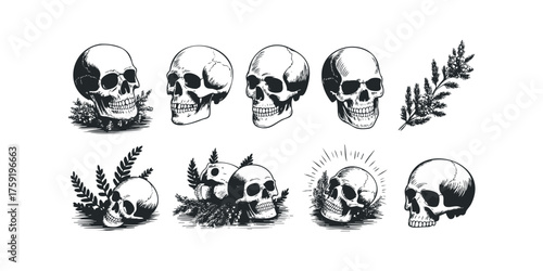 Collection of human skulls with decorative foliage accents