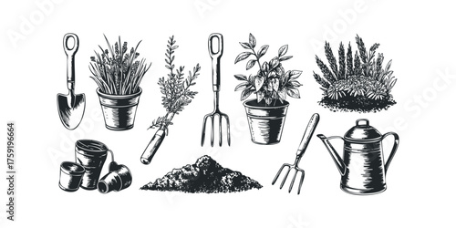 Garden tools and plants including shovel, forks, watering can