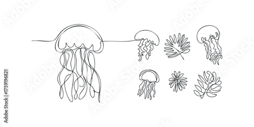 Continuous line drawing of jellyfish and flora shapes