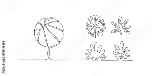 Continuous line drawing of basketball and plant leaves