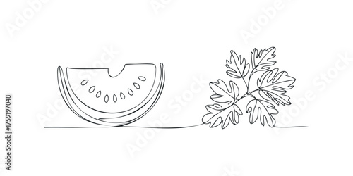 Single line drawing of watermelon slice and parsley herb