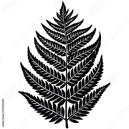 keywords  linocut  fern  leaf  plant  nature  trop.eps