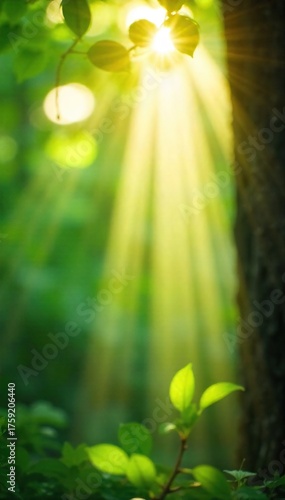 Sunbeams Filtering Through Leaves Dreamy, Ethereal Nature Scene, Perfect for Spiritual, Mindfulness, and Peace Concepts