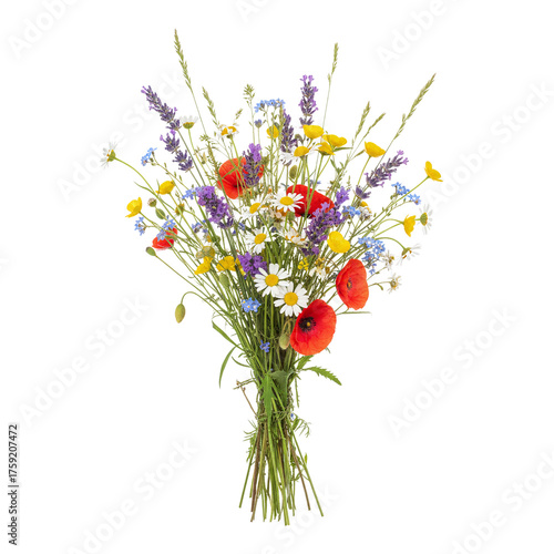 Colorful wildflower bouquet isolated