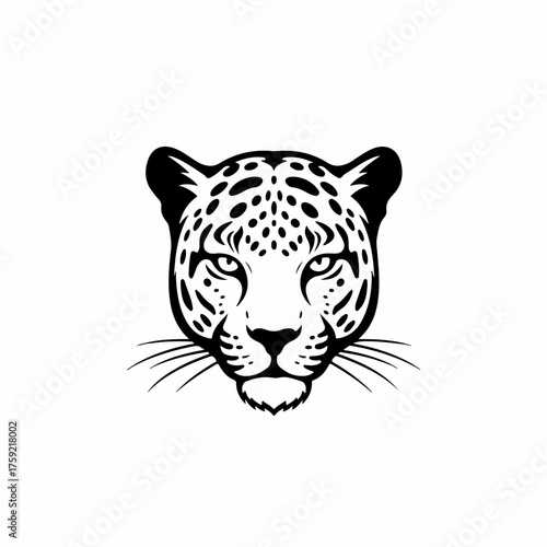 Detailed Monochrome Drawing Jaguar Head Wildlife Animal Illustration