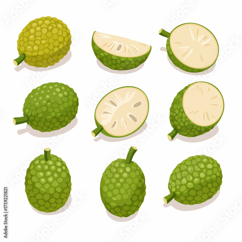 Flat Style Detailed Breadfruit Various Angles Slice Illustration Fruit Set
