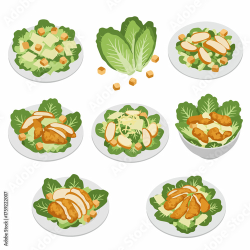 Flat Lay Delicious Caesar Salad Isolated Ingredient with Various Style Illustration