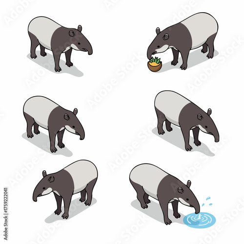 Isometric Detailed Malayan Tapir Poses Animal Illustration Set