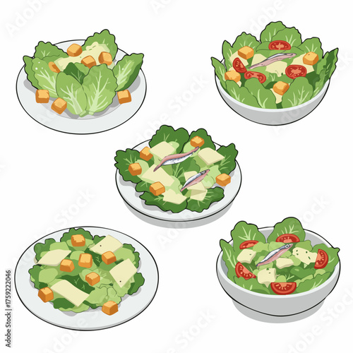 Flat Lay Salad Variety With Vegetables Healthy Eating Illustration