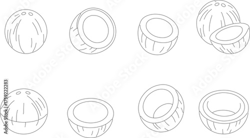 Minimalist Lineart Coconut Tropical Fruit Illustration Fresh and Healthy Food