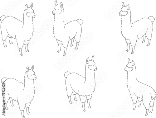 Minimalist Dotted Line Art Llama Illustration Cute Farm Animal