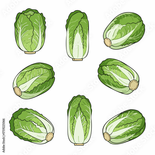 Pixelated Isometric Napa Cabbage Head Ingredient Different Angle Culinary Illustration