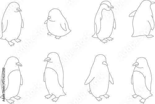 Simple Line Art Penguin Collection Illustration Design Isolated Animal