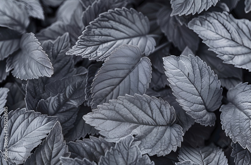 Lush dark leaves pattern background