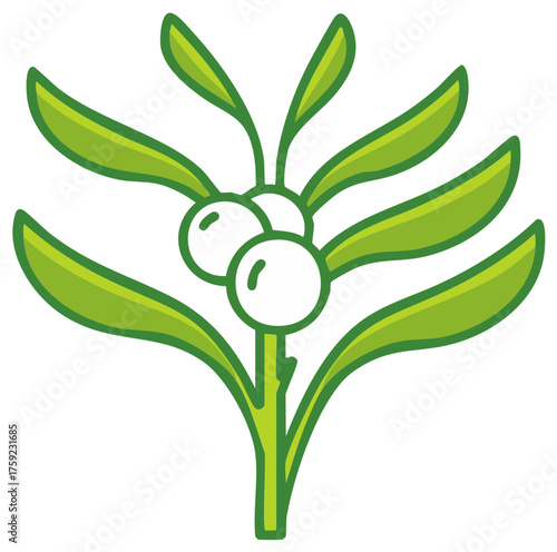 Simple mistletoe sprig icon with green leaves and white berries for Christmas holiday decoration