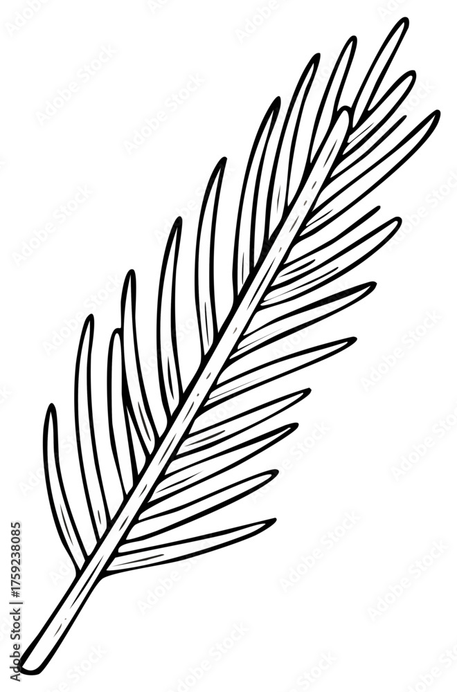 Fototapeta premium Stylized Fir Branch Line Art Illustration Black Outline on White Graphic Resource Element