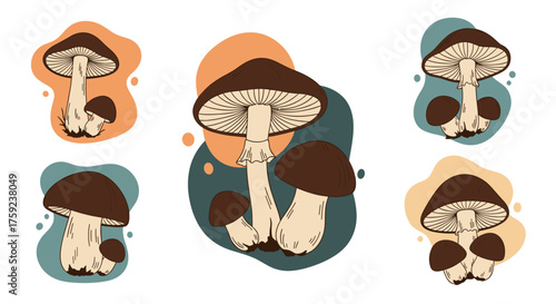 A collection of whimsical mushroom illustrations in earthy tones for nature lovers.