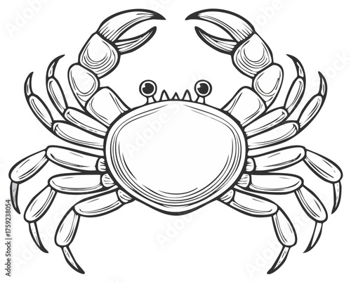 Detailed line art illustration of a crab with its claws up and legs extended