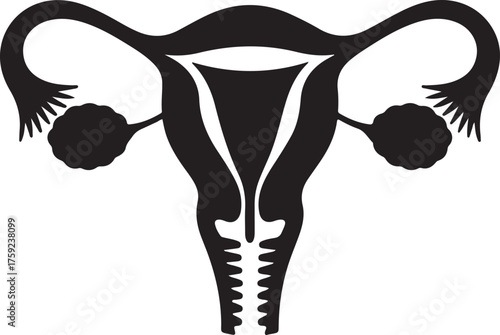 Black silhouette of the female reproductive system anatomy