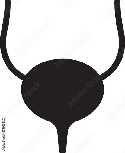 Simple black silhouette of the human urinary bladder