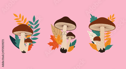 Autumn mushrooms and colorful leaves on a pink background.