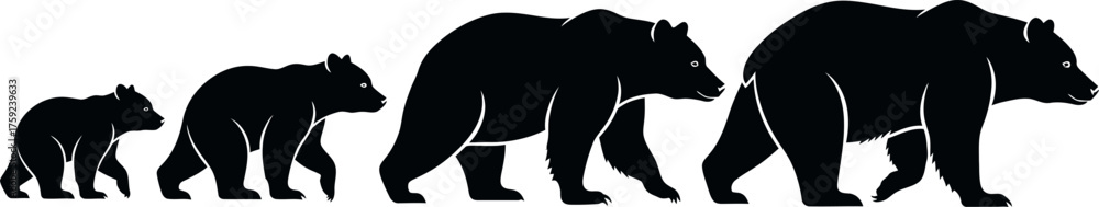 Fototapeta premium Bear Lifecycle Silhouette Vector Illustration Graphic