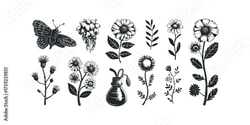 Black and white linocut style collection of flora and fauna