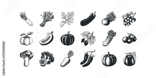 Assorted organic produce and fruit collection in ink style