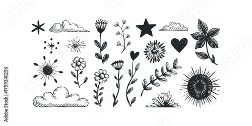 Collection of hand drawn botanical and celestial doodles