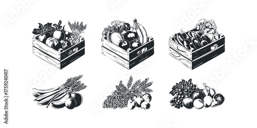 Collection of Fresh Produce in Wooden Crates and Bunches
