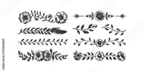 Floral Borders and Botanical Dividers Hand Drawn Elements