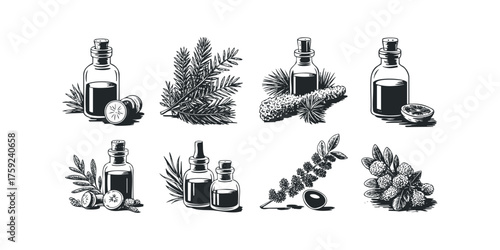 Botanical Essence Collection With Glass Bottles And Plants