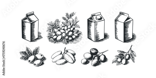Hand drawn grape and olive illustrations with milk cartons