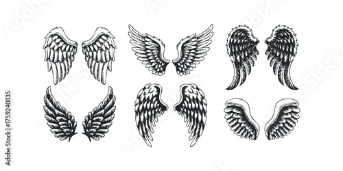 Collection of Black and White Feathered Wings Illustrations