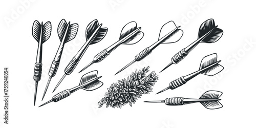 Group of darts and botanical sprig isolated on white