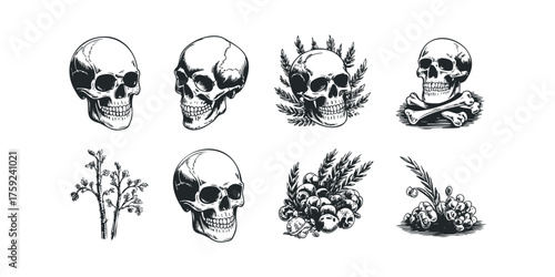 Collection of Skulls and Botanical Elements in Stylized Drawing