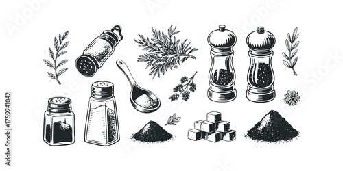 Spice and Herb Assortment Collection