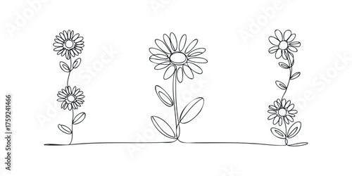 Three flowers with stems and leaves in a single line drawing