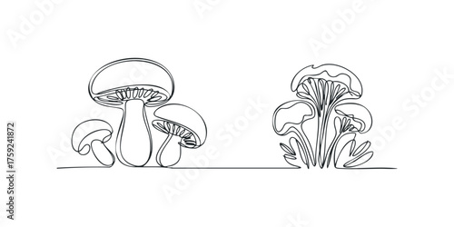 Minimalist single line drawing of mushrooms and foliage