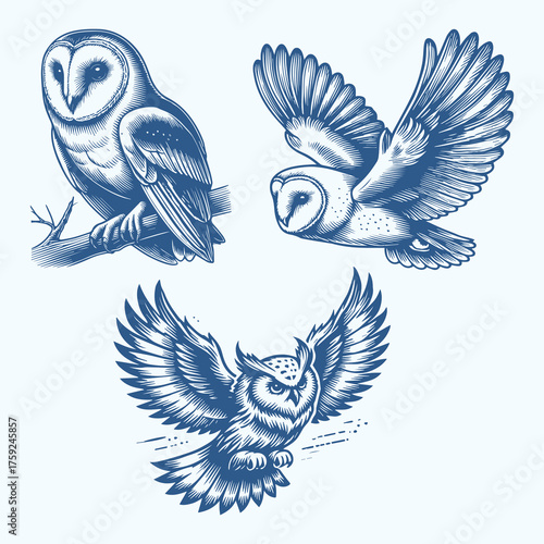 Owls Vector Set, Vintage Woodcut Birds Illustration Bundle